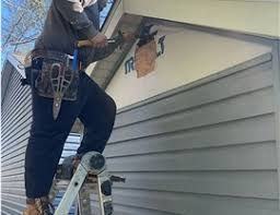 Best Steel Siding Installation  in Danvers, IL